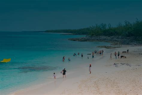 sandy toes bahamas|Sandy Toes Excursion